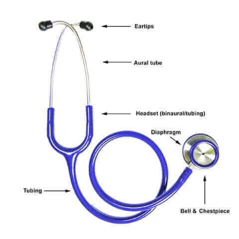 Top 8 Best Stethoscopes 2024 (Analyzed & Reviewed)