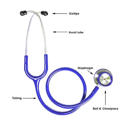 Basic Components of a Stethoscope