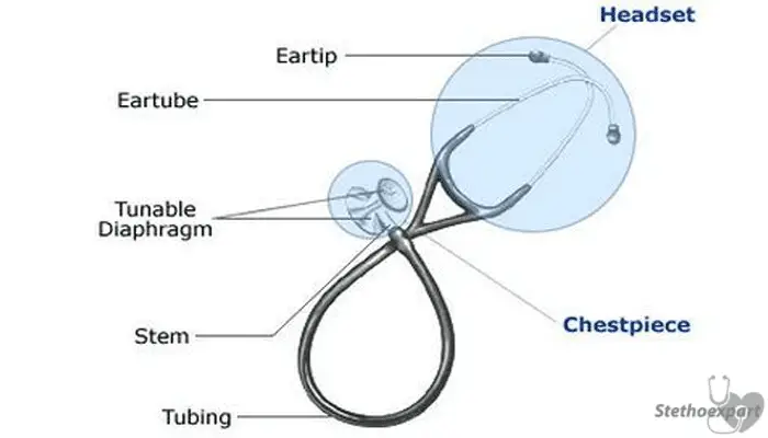 Different Parts of a Stethoscope