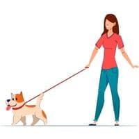 Walking with dogs